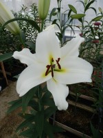 [5545 PO45 Galapagos No02.JPG]